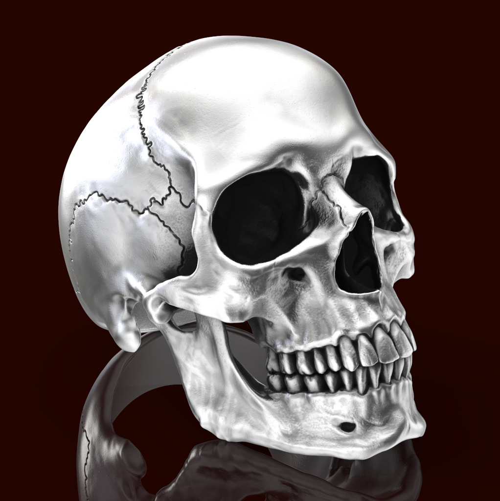 New Anatomical full skull ring--Perfect Gift