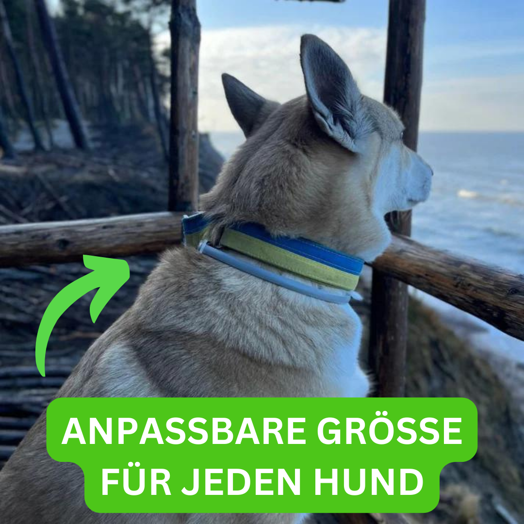 CuddlePaws™ Anti Floh- und Zeckenhalsband