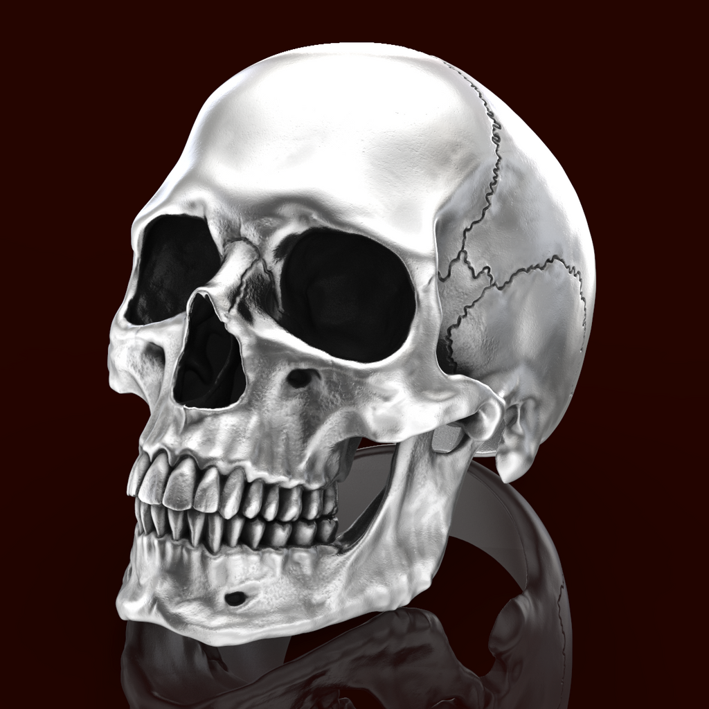 New Anatomical full skull ring--Perfect Gift